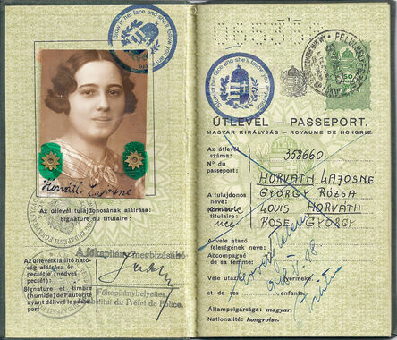 Soheila Sokhanvari, ‘Hungarian Passport’, 2010