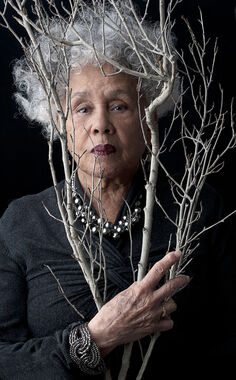 Michele Mattei, ‘Betye Saar’, 2012