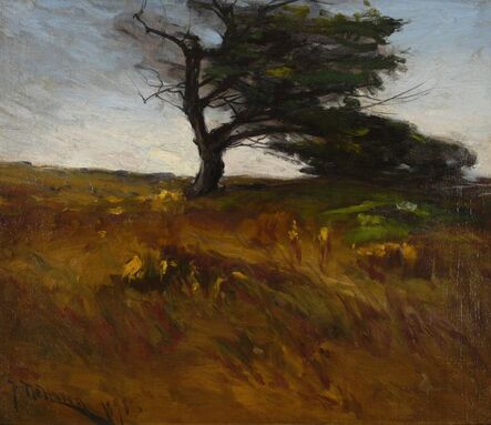 Franklin De Haven, ‘Windblown Meadow’, 1898