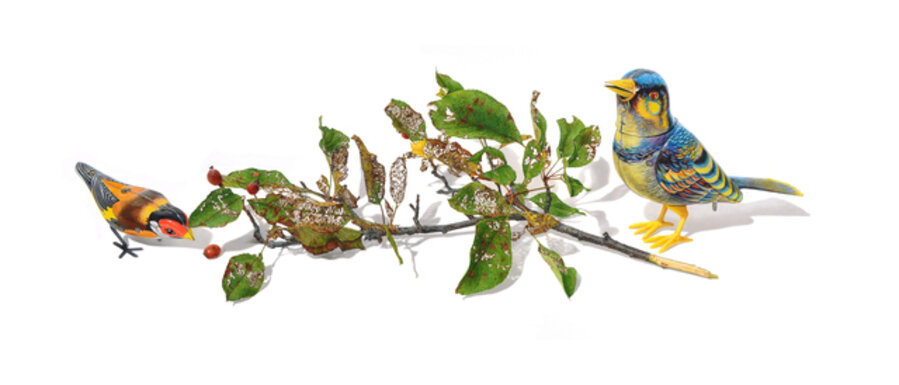 Wind-up Bird Series No. 6