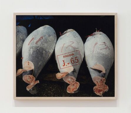 Sophie Calle, ‘Exquisite pain, J-65 (Tunas)’, 1984/2003