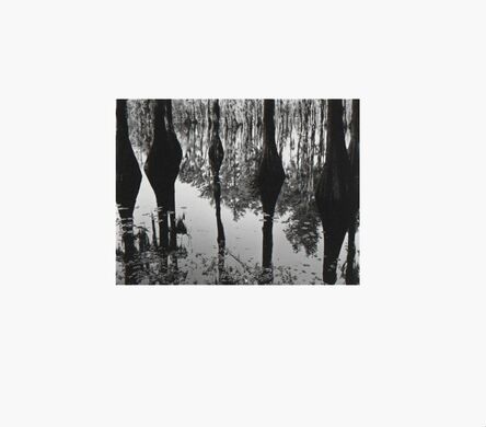 Brett Weston, ‘Swamp, North Carolina’, 1947