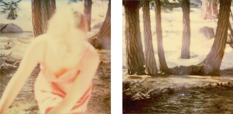 Stefanie Schneider, ‘Fairytales - diptych, analog’, 2006, Photography, 2 Analog C-Prints, hand-printed by the artist, based on two Polaroids, mounted on Aluminum with matte UV-Protection, Instantdreams