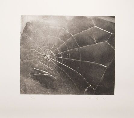 Vija Celmins, ‘Spider Web’, 2009