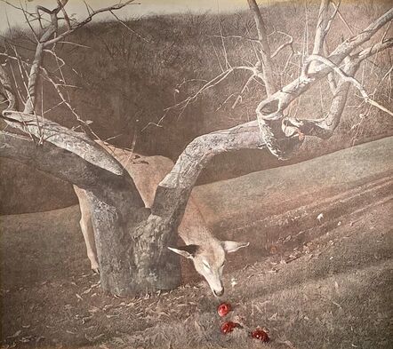 Andrew Wyeth, ‘Jacklight’, 1982