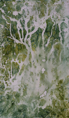 Nat Orlowski, ‘Registros III’, 2022