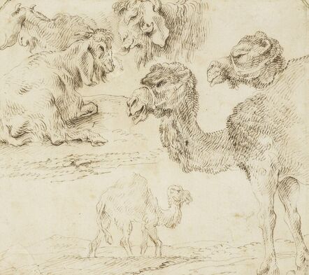 Giovanni Benedetto Castiglione, ‘Studies of dromedaries and goats’, ca. 1630