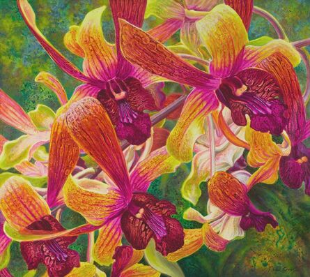 Fiona Craig, ‘Dance of the Dendrobiums’