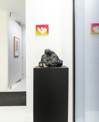 Holes, Bumps, Discs and Knots, installation view