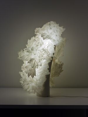Soma Series: Adaptation, Contemporary Handmade Light Sculpture