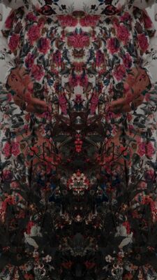 Hiraki Sawa, ‘Envelope’, 2014