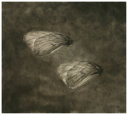 Dror Ben-Ami, ‘Butterfly 2’, 2010