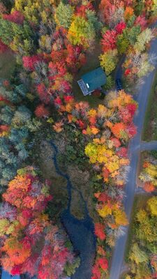 Austin Jensen, ‘In My Element’, 2017