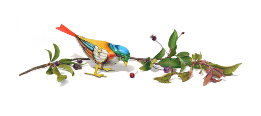 Wind-Up Bird Series No. 5