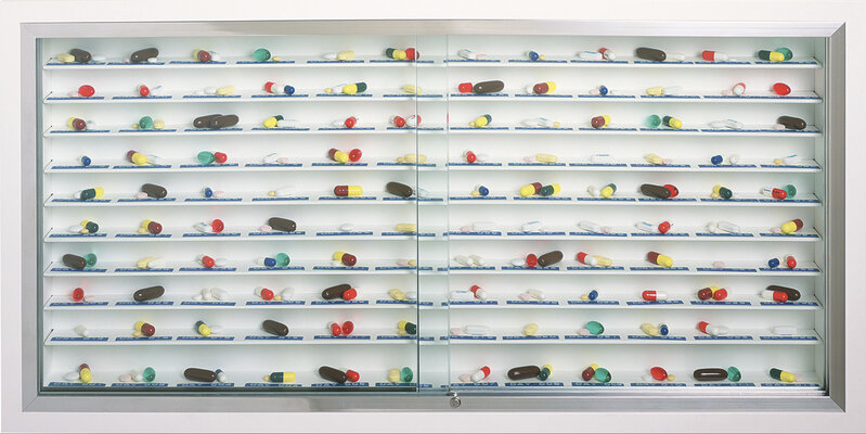 Damien Hirst, ‘Day by Day’, 2003, Sculpture, Glass, painted MDF, aluminum, stainless steel, Dymo tape and pills, Shake Gallery