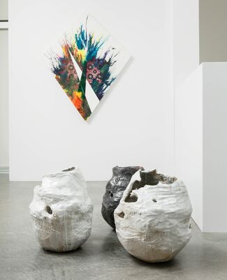 Uncommon Terrain curated by Anuradha Vikram, installation view