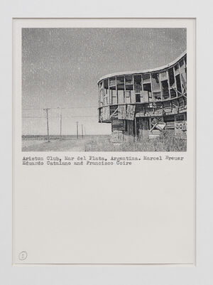Untitled (Collection of modernist houses in ruins)