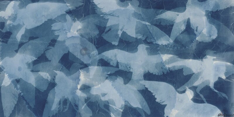 Zhang Dali, ‘Pigeons No. 2’, 2013, Photography, Cyanotype photogram and ink on rice paper, Eli Klein Gallery