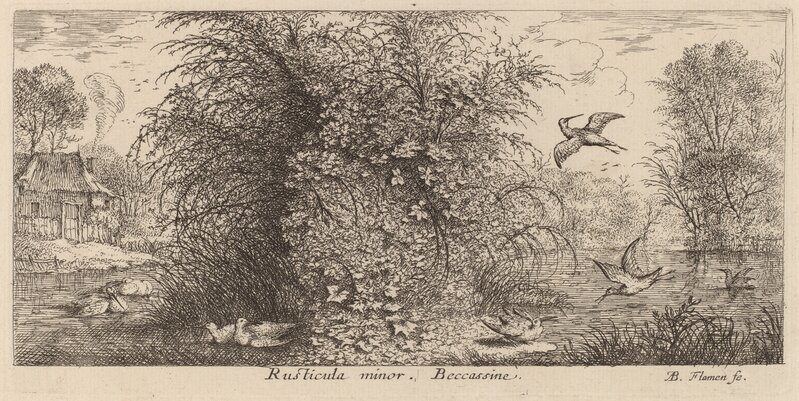 Albert Flamen, ‘Rusticula minor, The Snipe’, Print, Etching, National Gallery of Art, Washington, D.C.