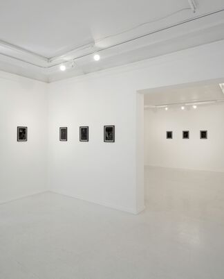 Shyster, Chisler and Quack, installation view