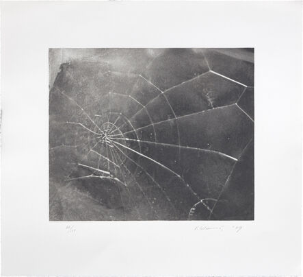 Vija Celmins, ‘Spiderweb (R. p. 210)’, 2009