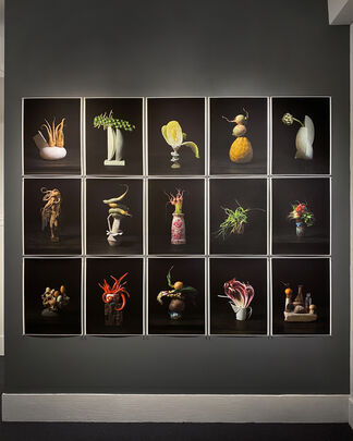 Han Feng - The Gift @ Robert Klein Gallery, Boston, installation view