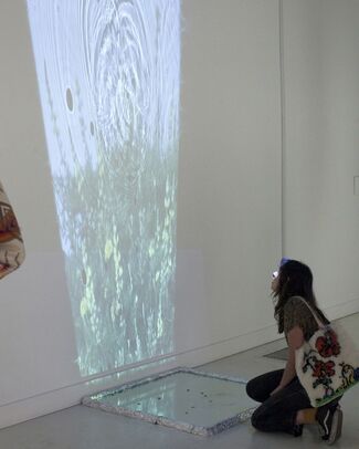 Pushing Up Daisies by Lena Gustafson, installation view