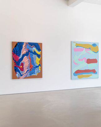 Jenny Sharaf - Flow State, installation view