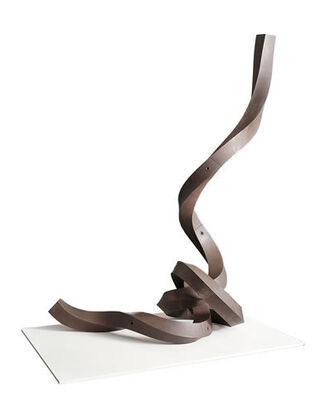 Alberto Cavalieri: Fragmented Knot, installation view