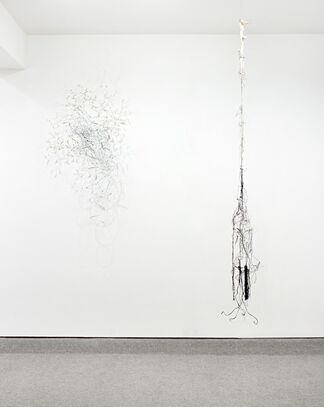 SALLY MOORE: REROUTE / REROOT, installation view