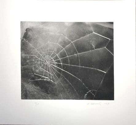 Vija Celmins, ‘Spider Web’, 2009