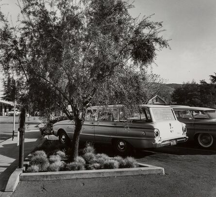 Pirkle Jones, ‘Parking Lot Tree’, circa 1960