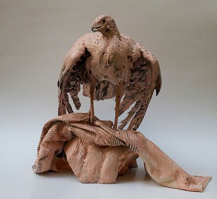 Hesselholdt & Mejlvang, ‘Skin Colored African Hawk’, 2014