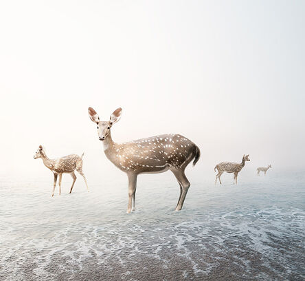 Alice Zilberberg, ‘Stay My Deer’, 2019