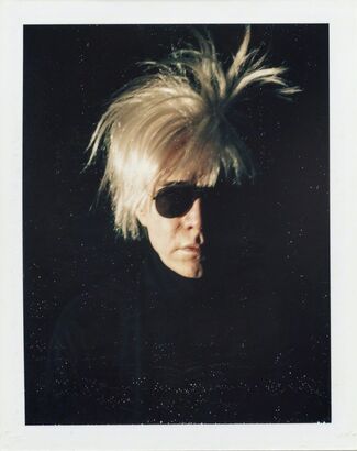 Andy Warhol Polaroid Pictures, installation view