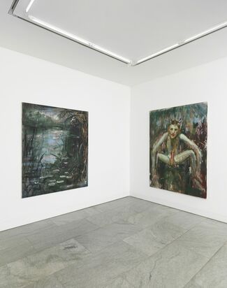 Andrej Dubravsky - DO YOU WANT TO LIVE LIKE ME?, installation view