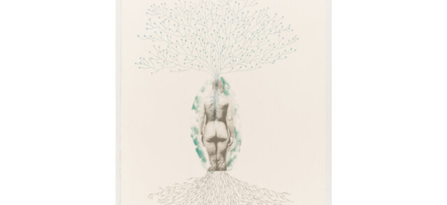"Assentemento " # 9