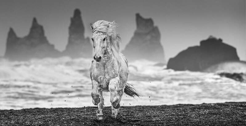 David Yarrow, ‘The Perfect Storm’, 2018, Photography, Archival Pigment Print, Hilton Contemporary