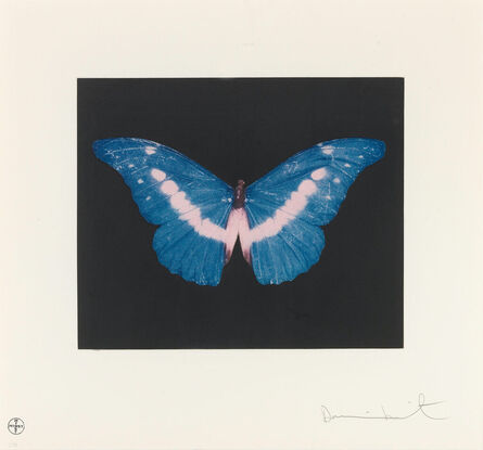 Damien Hirst, ‘To Belong - Butterfly in blue and pink with black background’, 2008