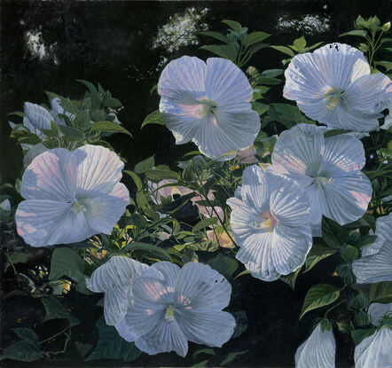 Timothy Barr, ‘Hibiscus (Full Bloom)’, 2022