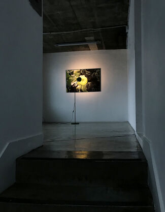 The Singularity is Near, installation view