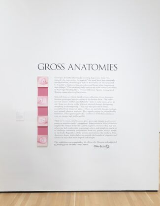 Gross Anatomies, installation view
