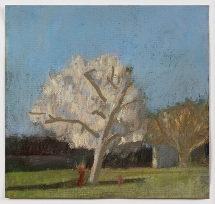 Adrian Nivola, ‘An Almond Tree in Blossom’, 2023