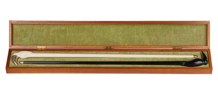 White and Black Bird Canes in a Case