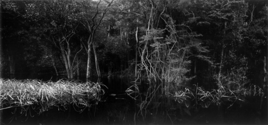 Rio Negro 02