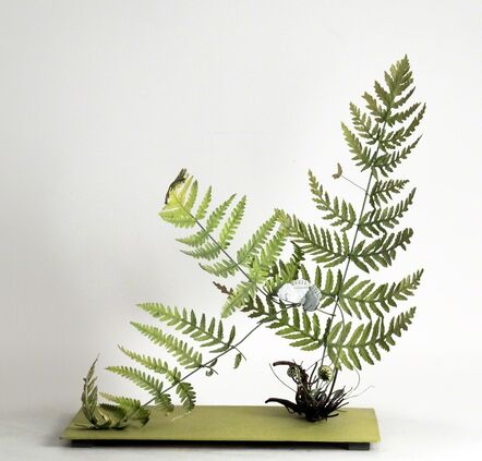 Carmen Almon, ‘Fern with Large White Butterfly’, 2019