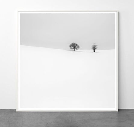 Alexandre Manuel, ‘JUST A FEW THINGS by Alexandre Manuel, Eternal series (Chroma Gallery)’, 2023