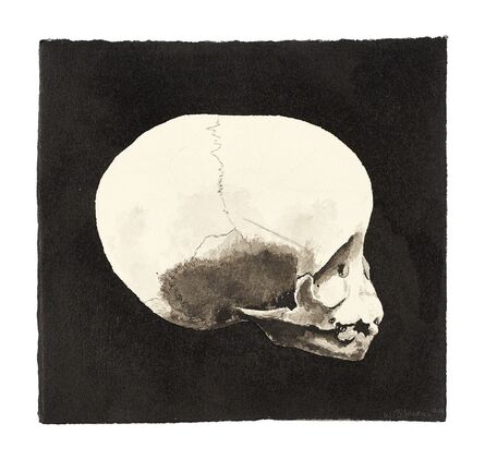 Walter Oltmann, ‘Infant Skull I’, 2015