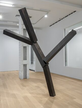 Joel Shapiro, installation view