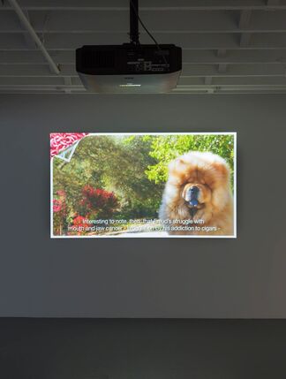 Open Call: Web-Based Art, installation view
